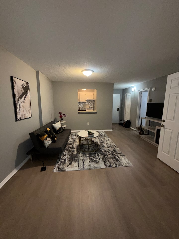 Modern Condo Minutes From Dc - Silver Spring, MD