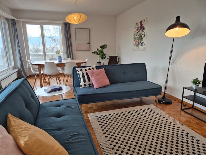 Light Filled Apartment With Zurich Views Lim 12 - Zürich