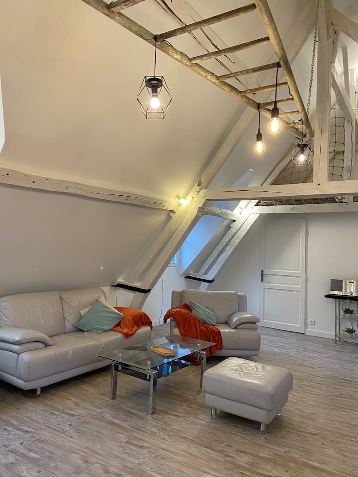 Sous Les Toits Des Jacobins – 3 Ch, Wi-fi - ibis Styles Amiens Centre