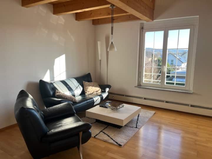 Stilvolles Appartment Nahe Rheinfall Schaffhausen - Schaffhausen