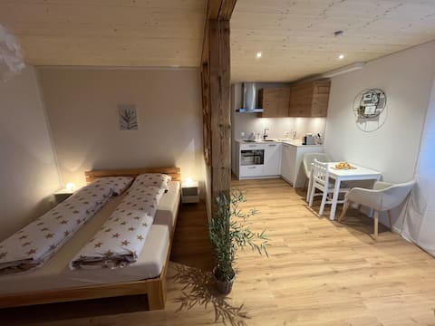 Top Airbnb: New studio with fantastic views in Spiez in Spiez