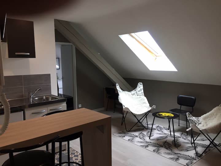 Studio Propre, Fonctionnel, Proche Du Techn'hom. - Belfort