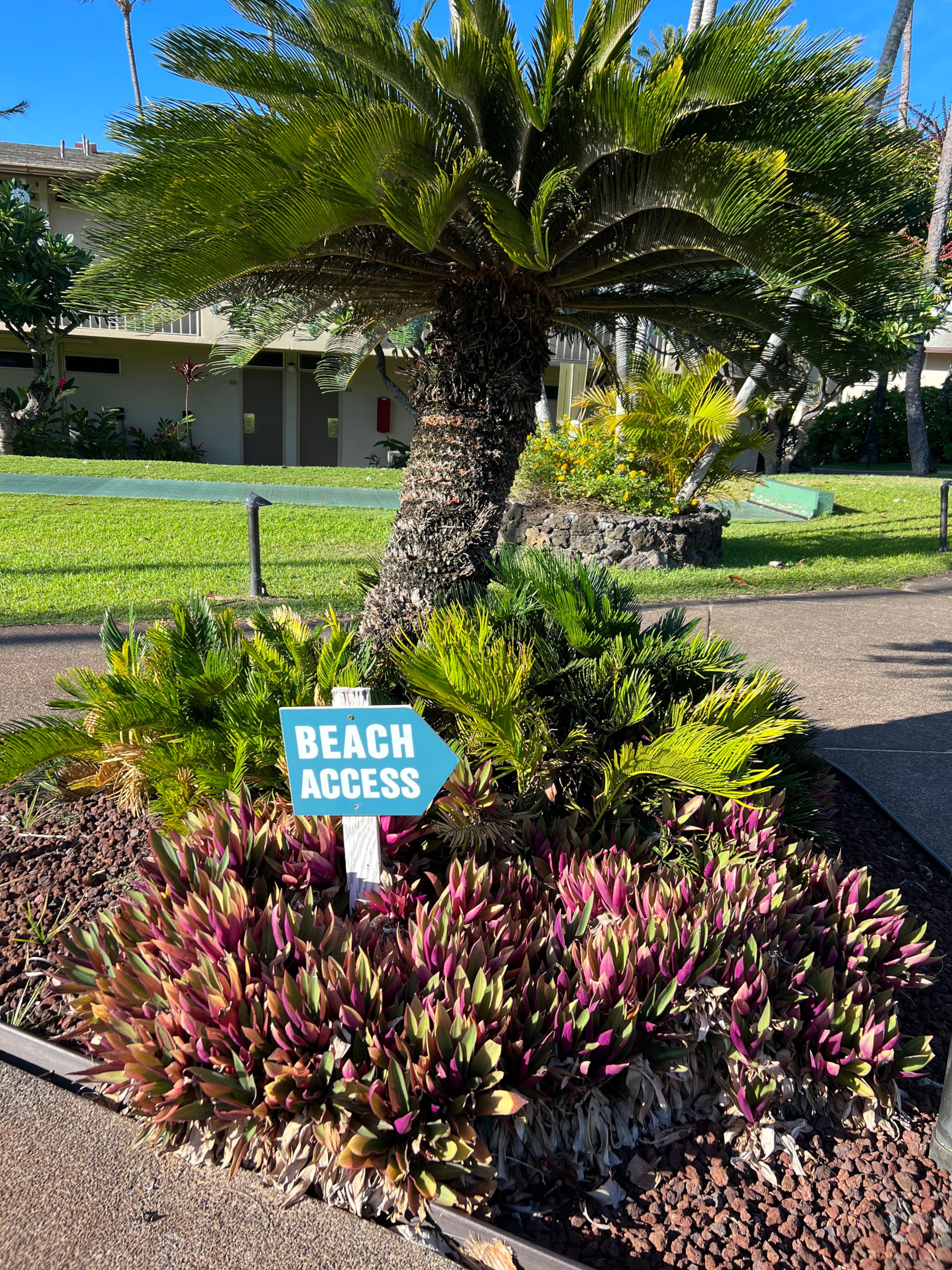 Modern garden studio walk to beach, pools & AC - Image 31