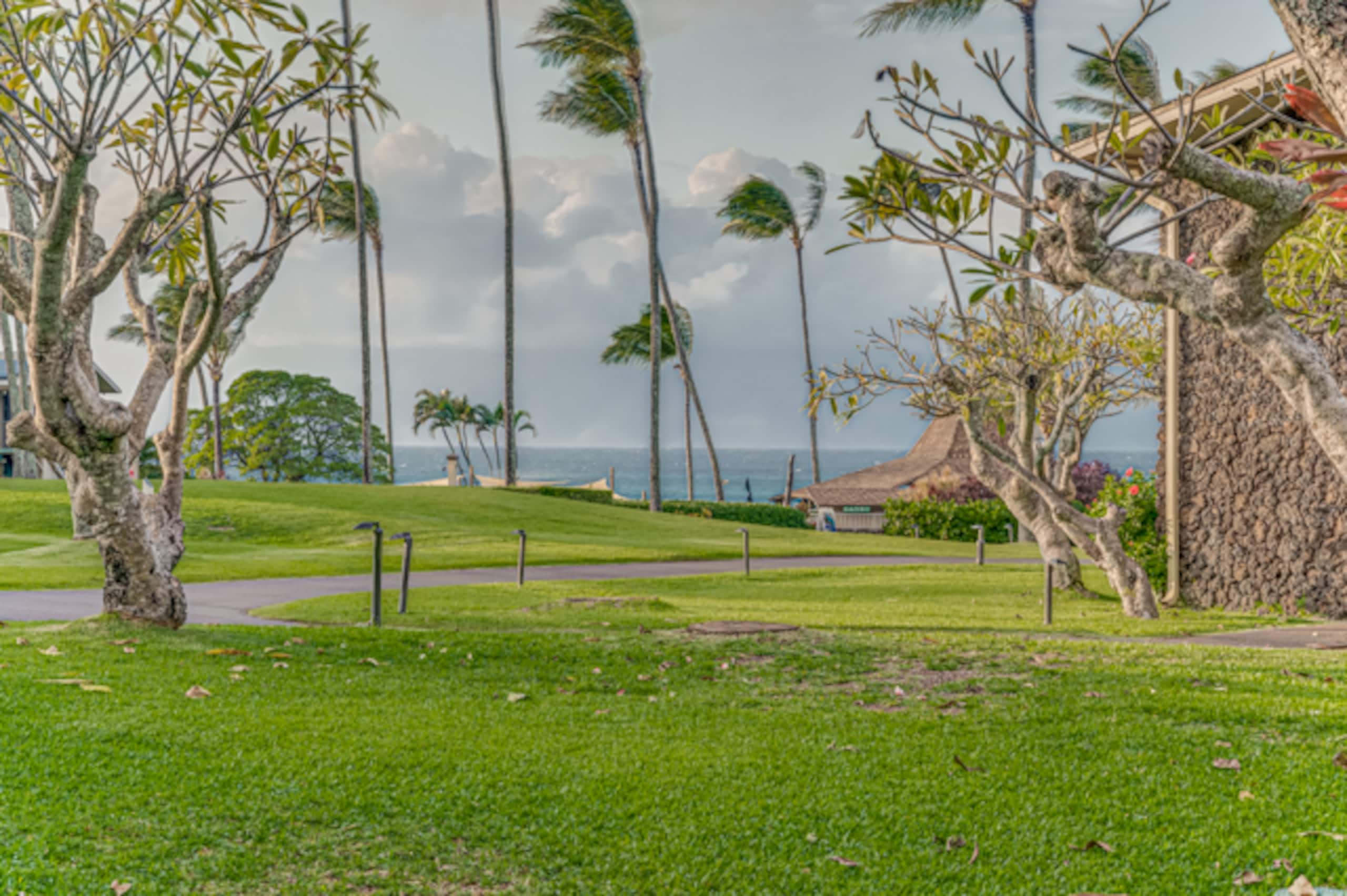 Modern garden studio walk to beach, pools & AC - Image 9