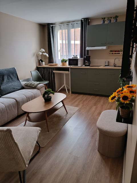Top performing Airbnb: Apartment with a small bedroom, 2 beds in Tourcoing