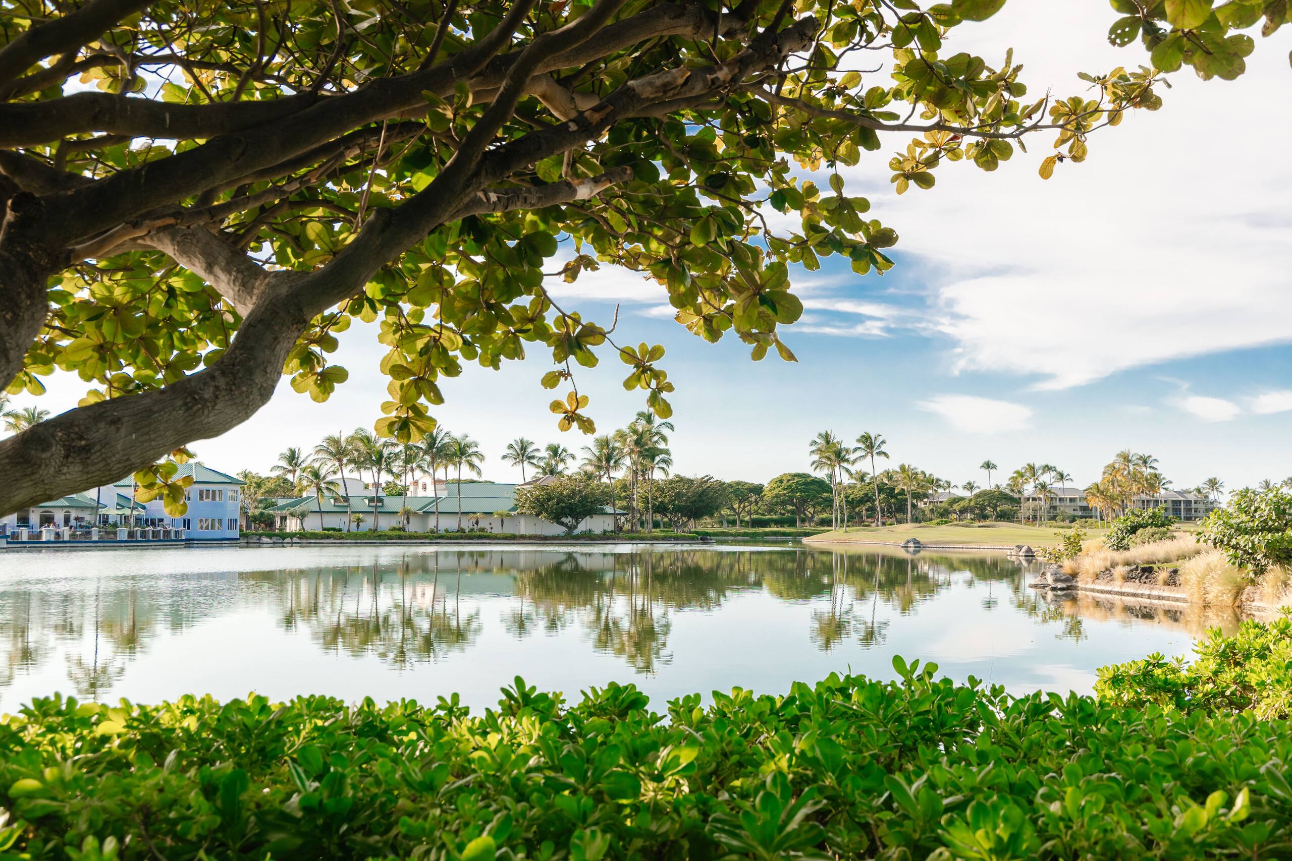 Home in Waikoloa Village · ★5.0 · 3 bedrooms · 6 beds · 3 baths - Photo 136