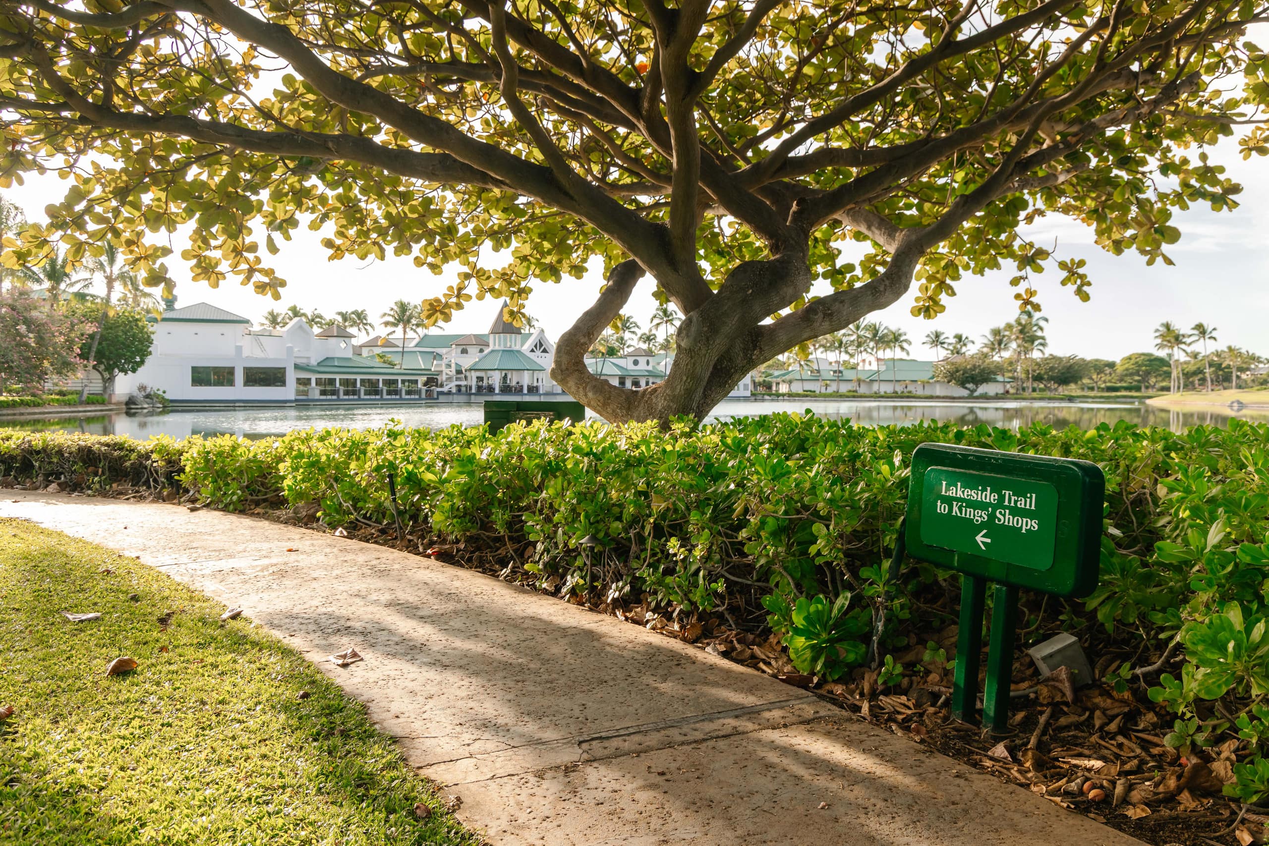 Home in Waikoloa Village · ★5.0 · 3 bedrooms · 6 beds · 3 baths - Photo 135