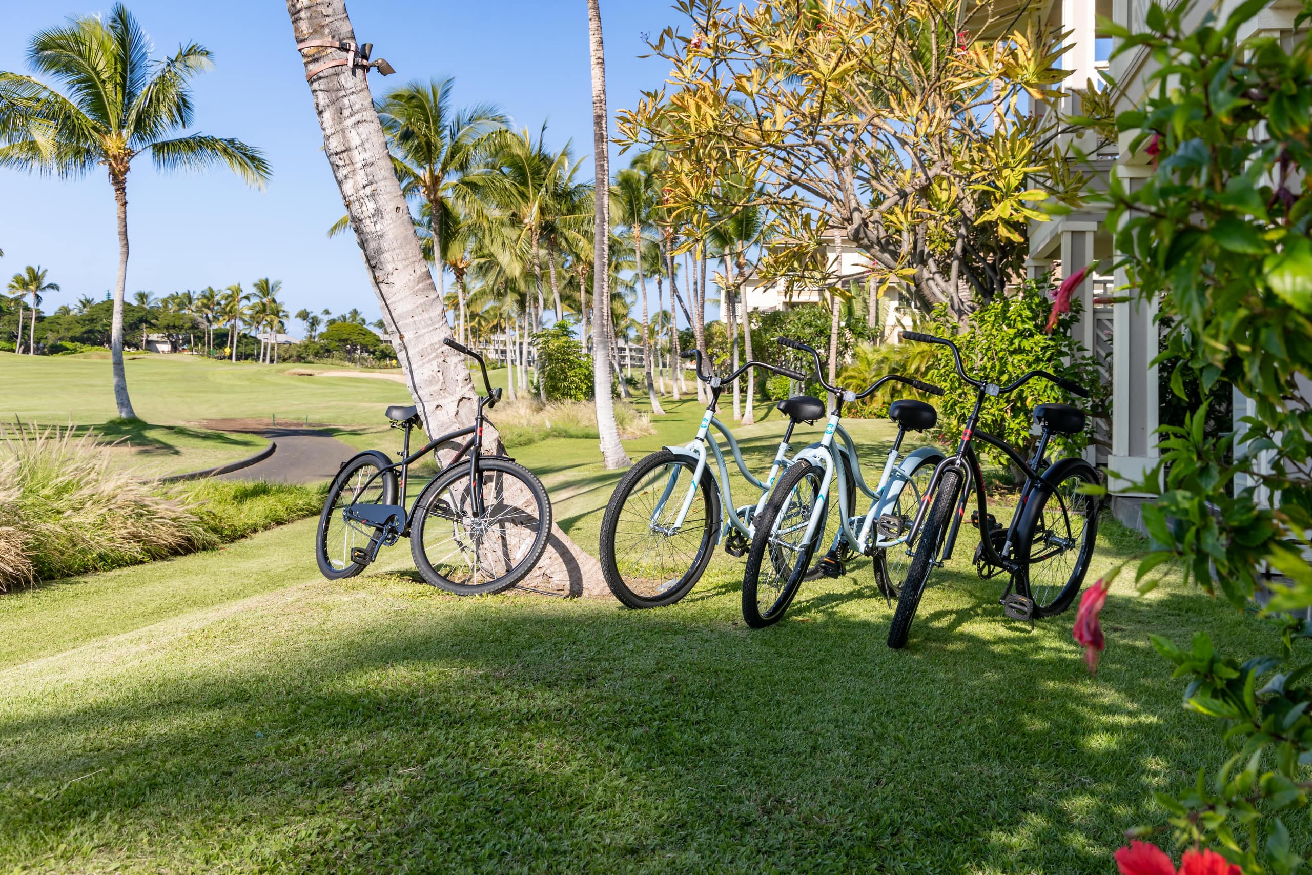 Home in Waikoloa Village · ★5.0 · 3 bedrooms · 6 beds · 3 baths - Photo 87