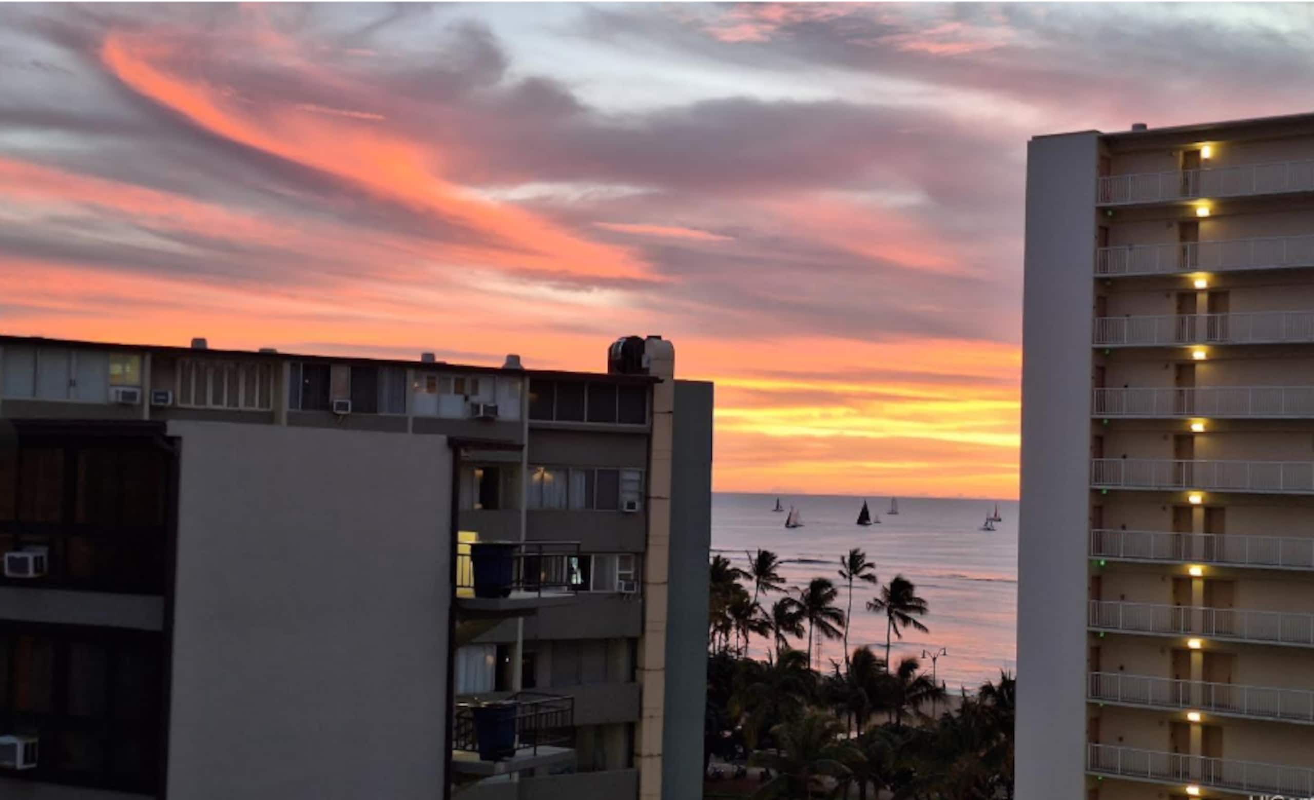 Waikiki Studio Great Location/Free Parking - Image 6