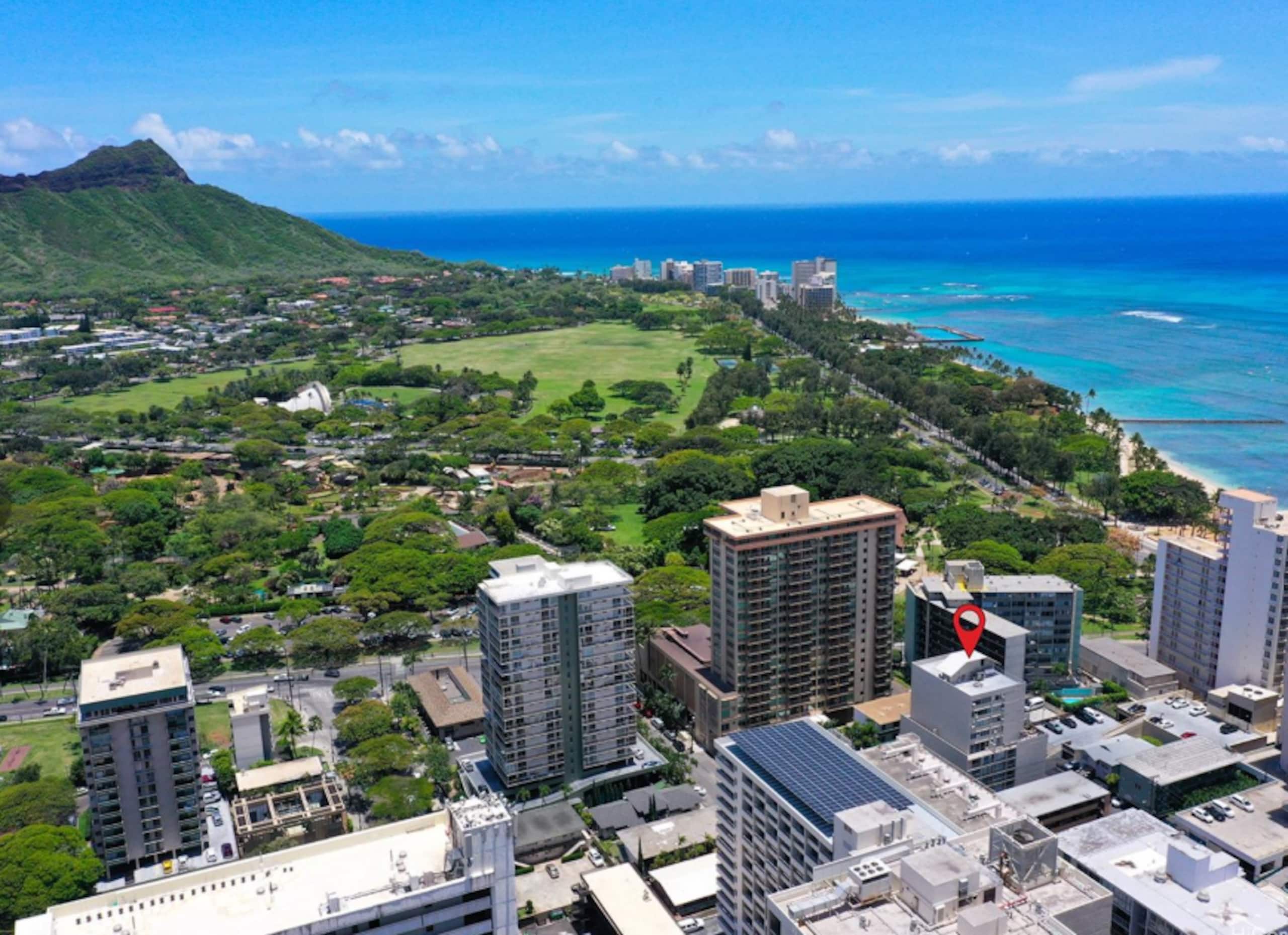 Waikiki Studio Great Location/Free Parking - Image 13