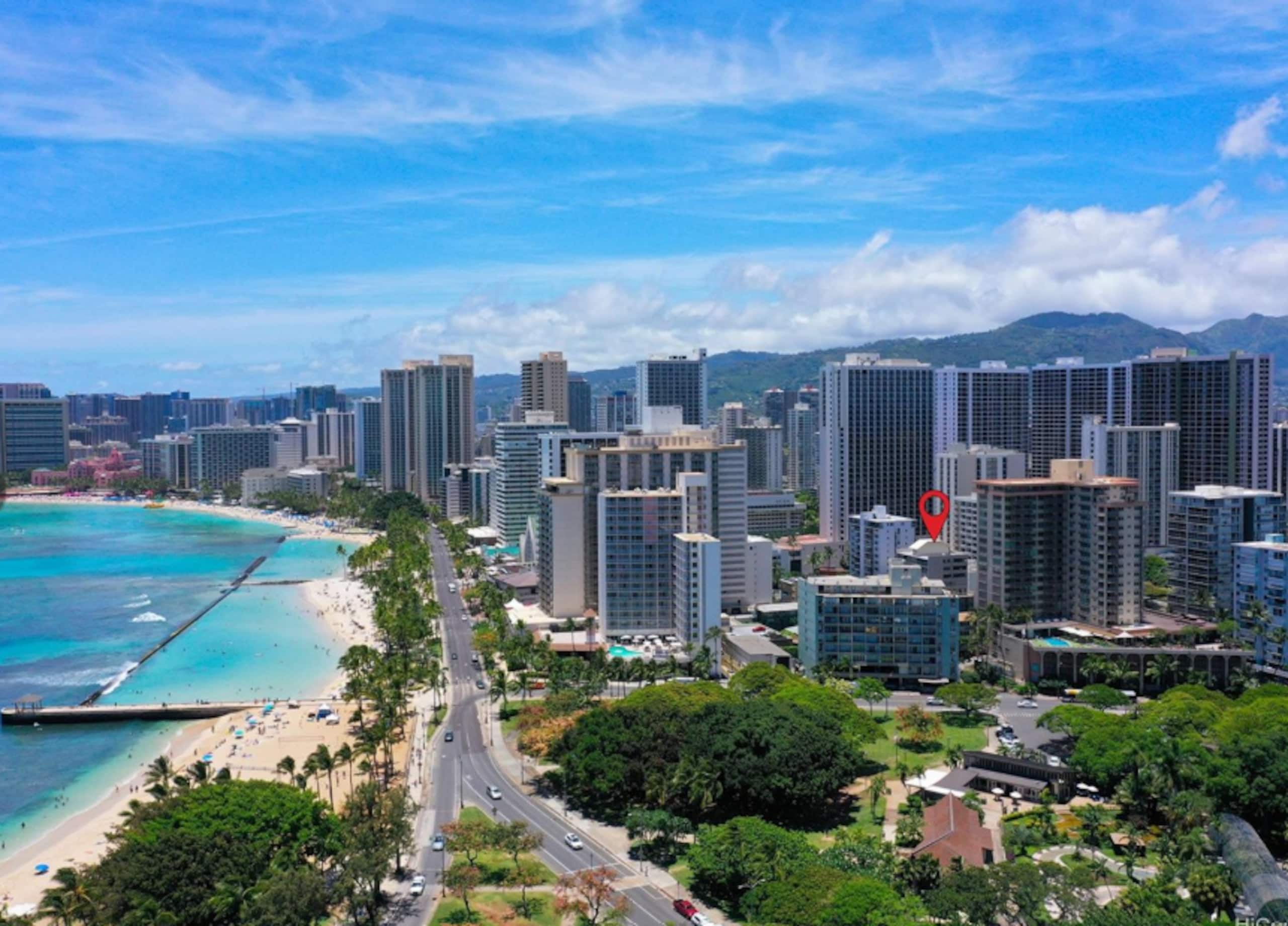 Waikiki Studio Great Location/Free Parking - Image 16