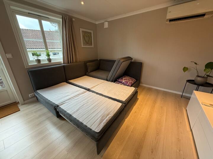 Sofá cama en la sala de estar de la casa de huéspedes