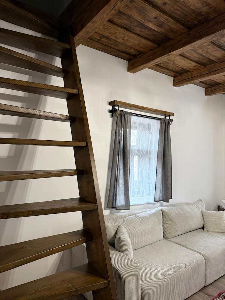 Ili House, Home & Retreat - Satu Mare