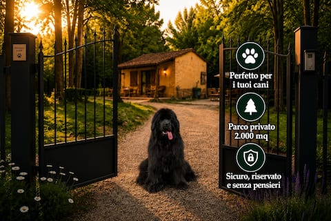 Top Airbnb: Bosco Recinto | 1 hour from Rome | Free and Happy Dogs a Amelia