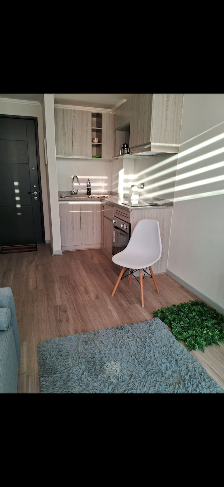 Departamento Nuevo  Para Dos Personas Con Piscina. - Quilicura