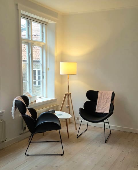 Top performing Airbnb: 2 Bedrooms in the City Center with Boxspring Beds in Haderslev