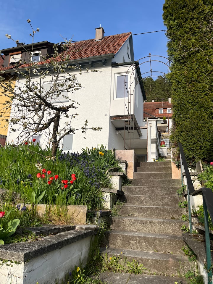 Urban cottage above the rooftops of Nagold