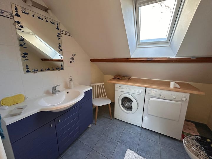 salle de bain privée attenante à la chambre 2 avec meuble , douche, wc, lave linge et sèche linge
