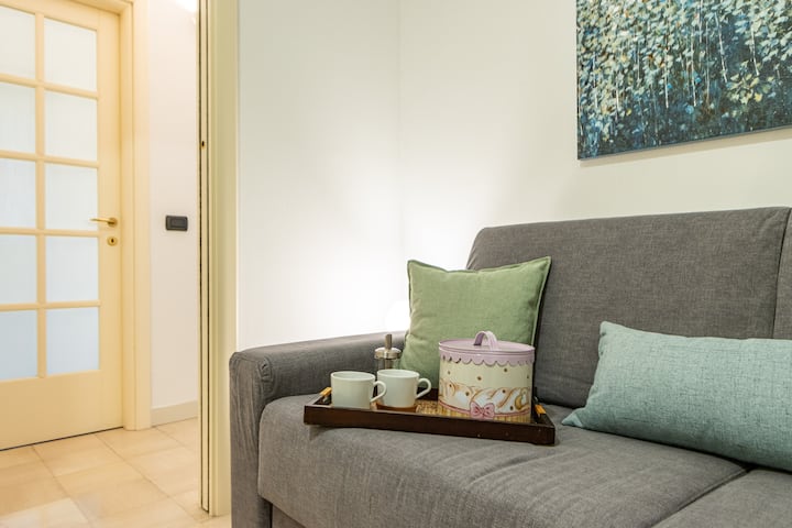Viva Apartment - Varese Centro - Free Wifi - Varese