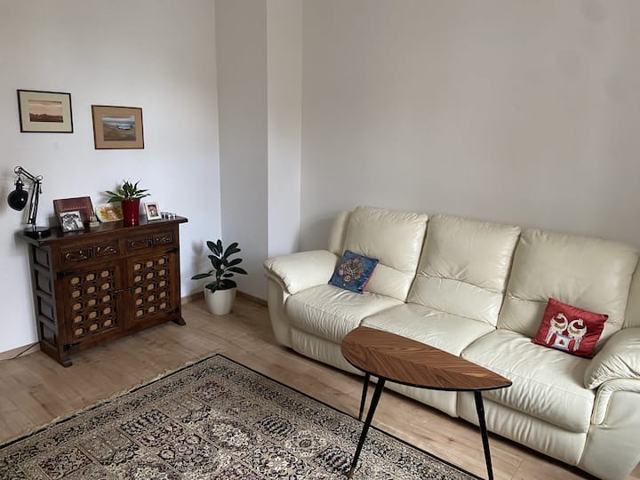 Cozy Fully Furnished 1 Bhk With Balcony In Leipzig - Leipzig