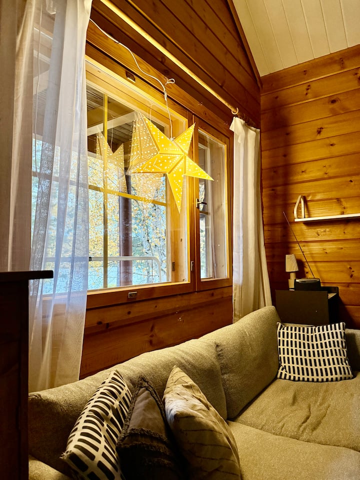 Hirsihuvila Kemijoen Rannalla - Rovaniemi