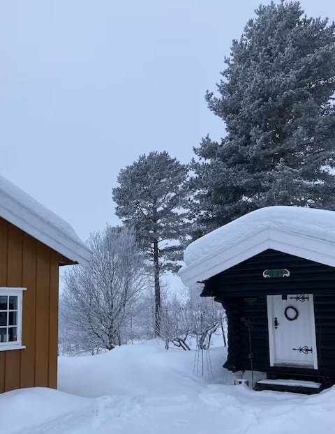 Top performing Airbnb: Guriheim - near Sjusjøen among forests and mountains in Ringsaker