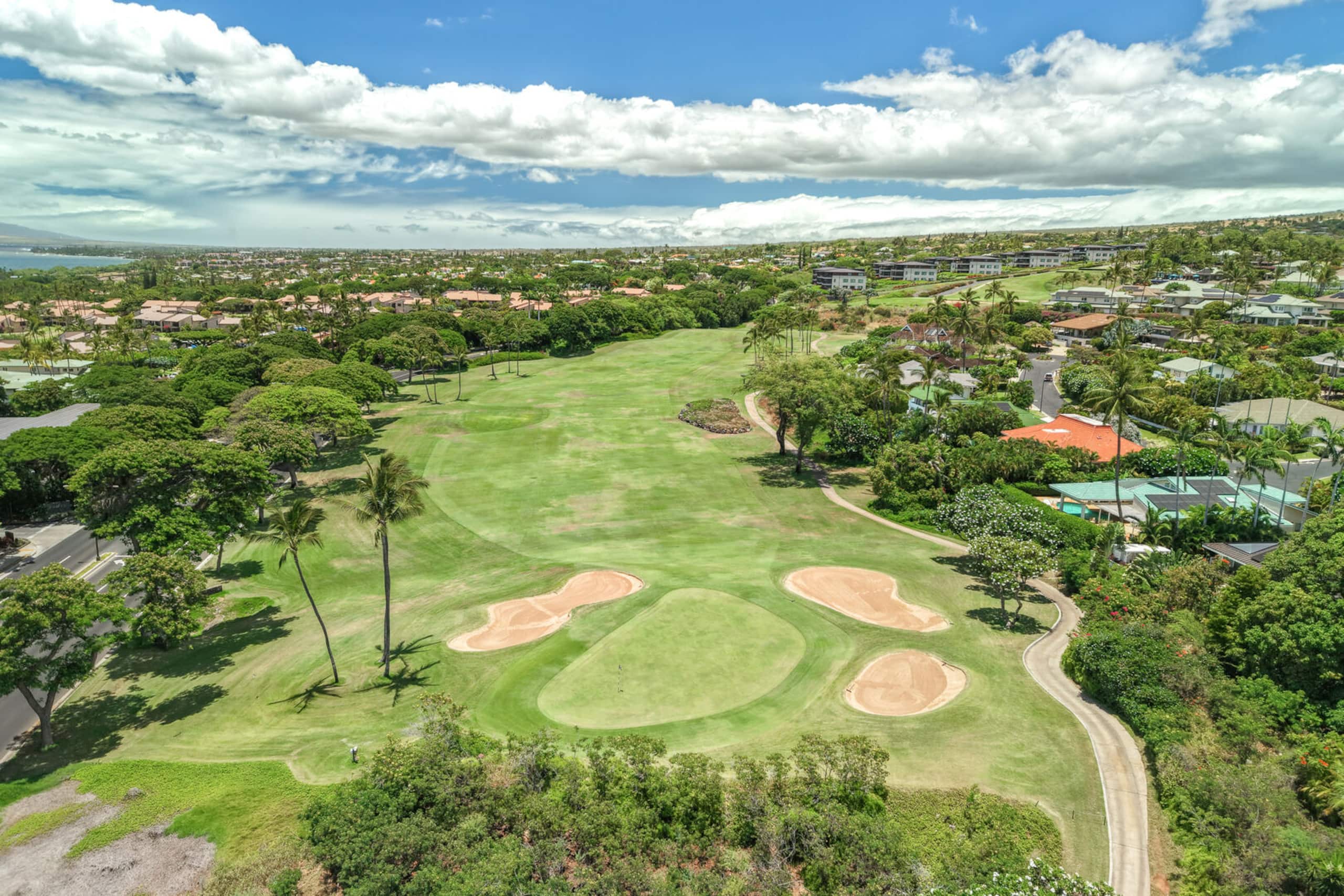 Ocean View w/AC - Wailea Elua 306 - Image 47