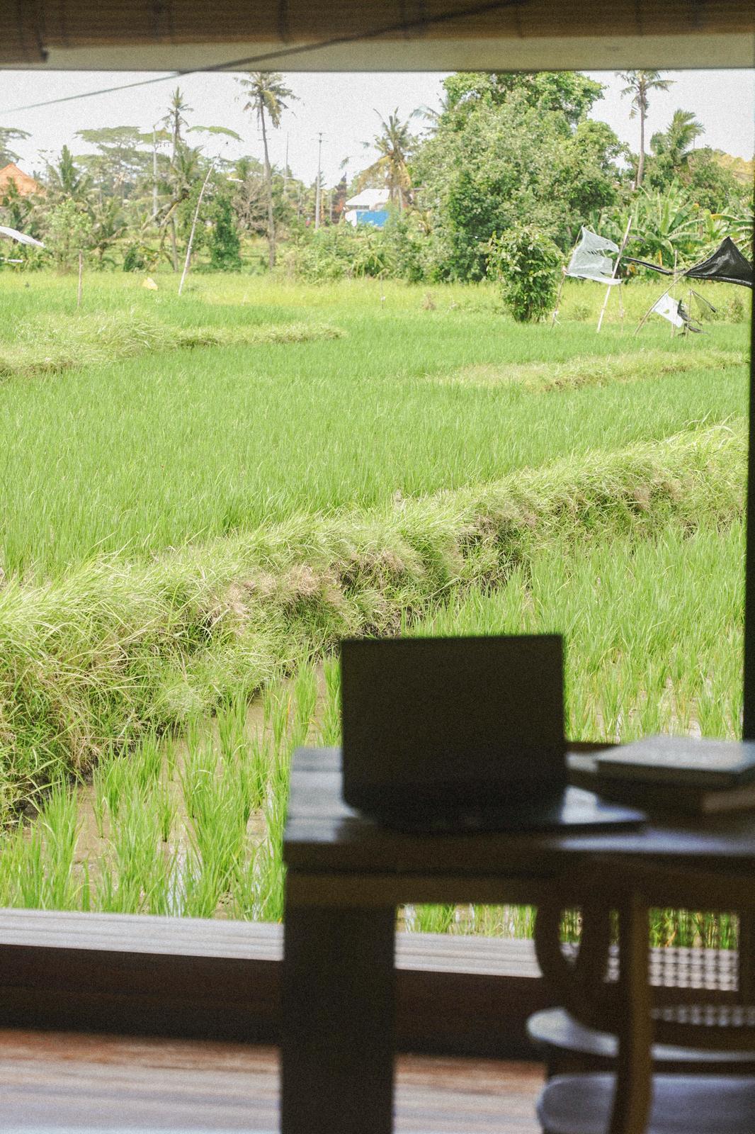 Home in Mengwi · 3 bedrooms · 3 beds · 1 private bath, comparable Airbnb