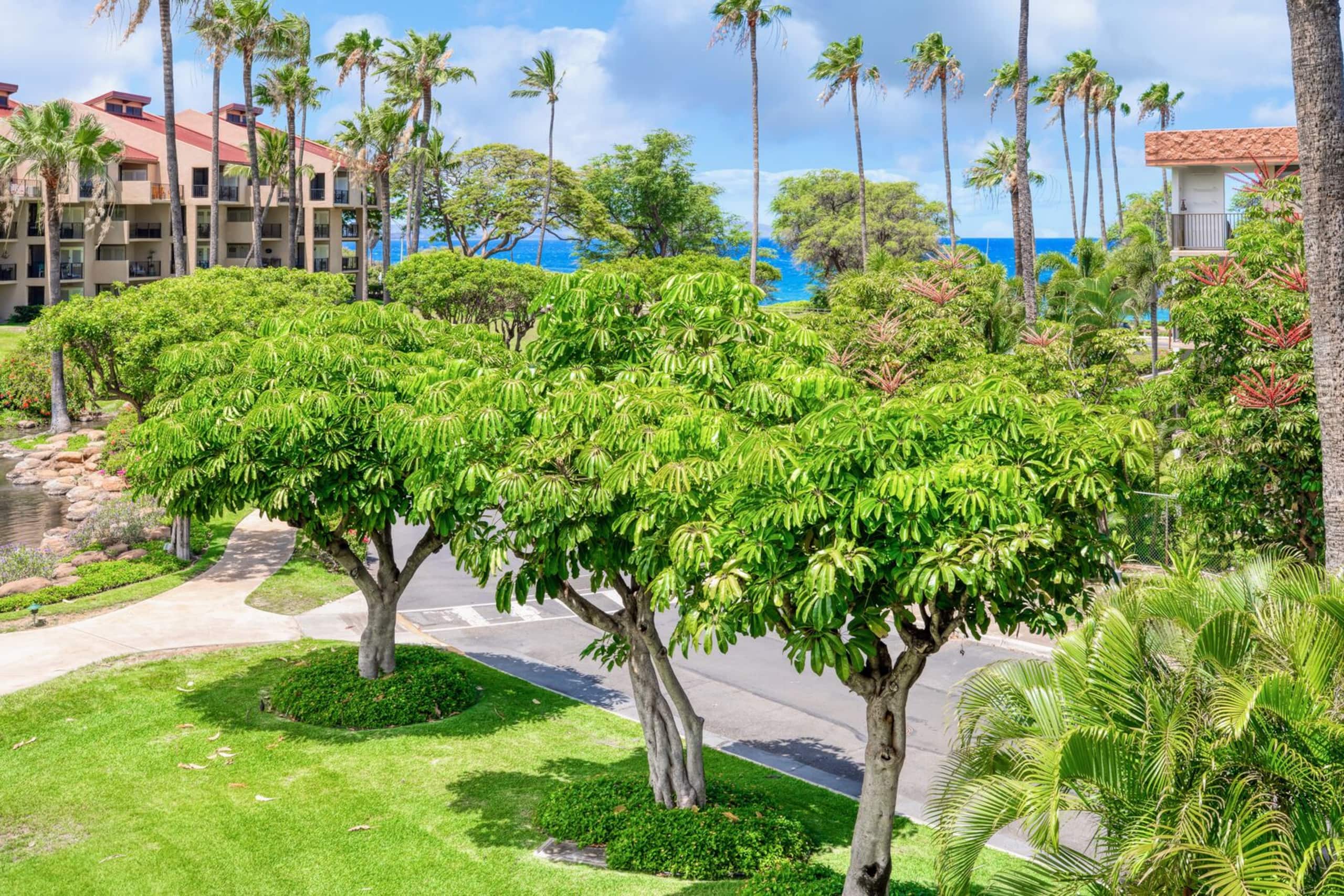 Ocean view near Beach - Kamaole Sands 1-306 - Image 38