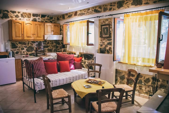 Chronakis Home / Psichro Lasithi - Kaminaki