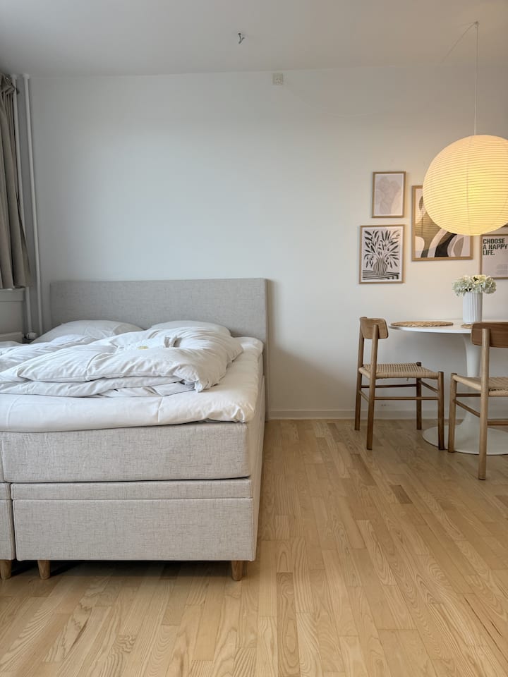 Lys Studiolejlighed Centralt Ved Søerne - Copenhaguen