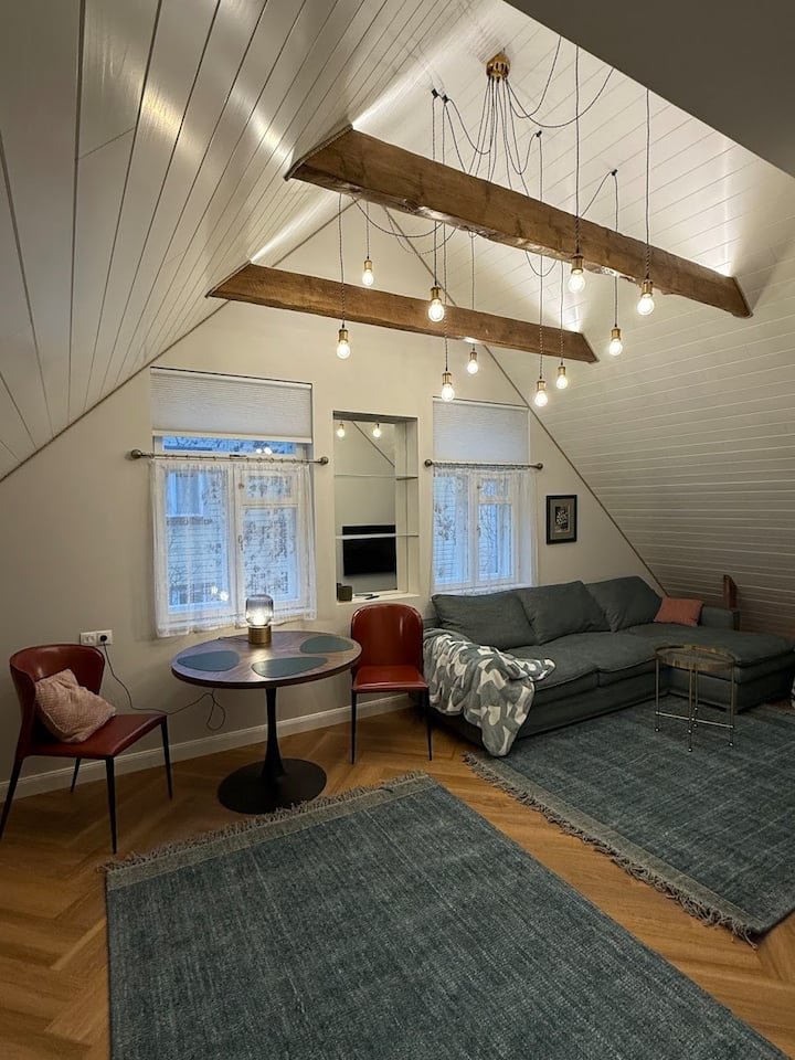 Charming Treehouse Apartment - Tallin