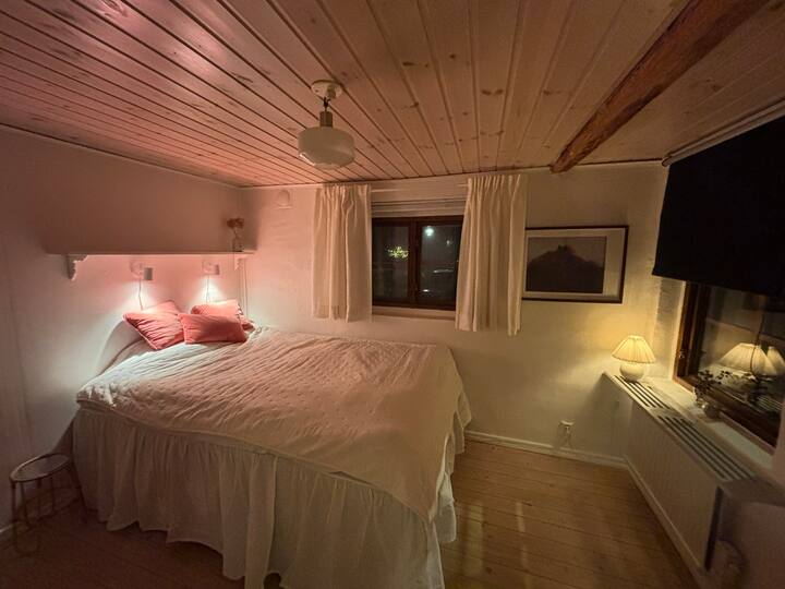 Habitación 1