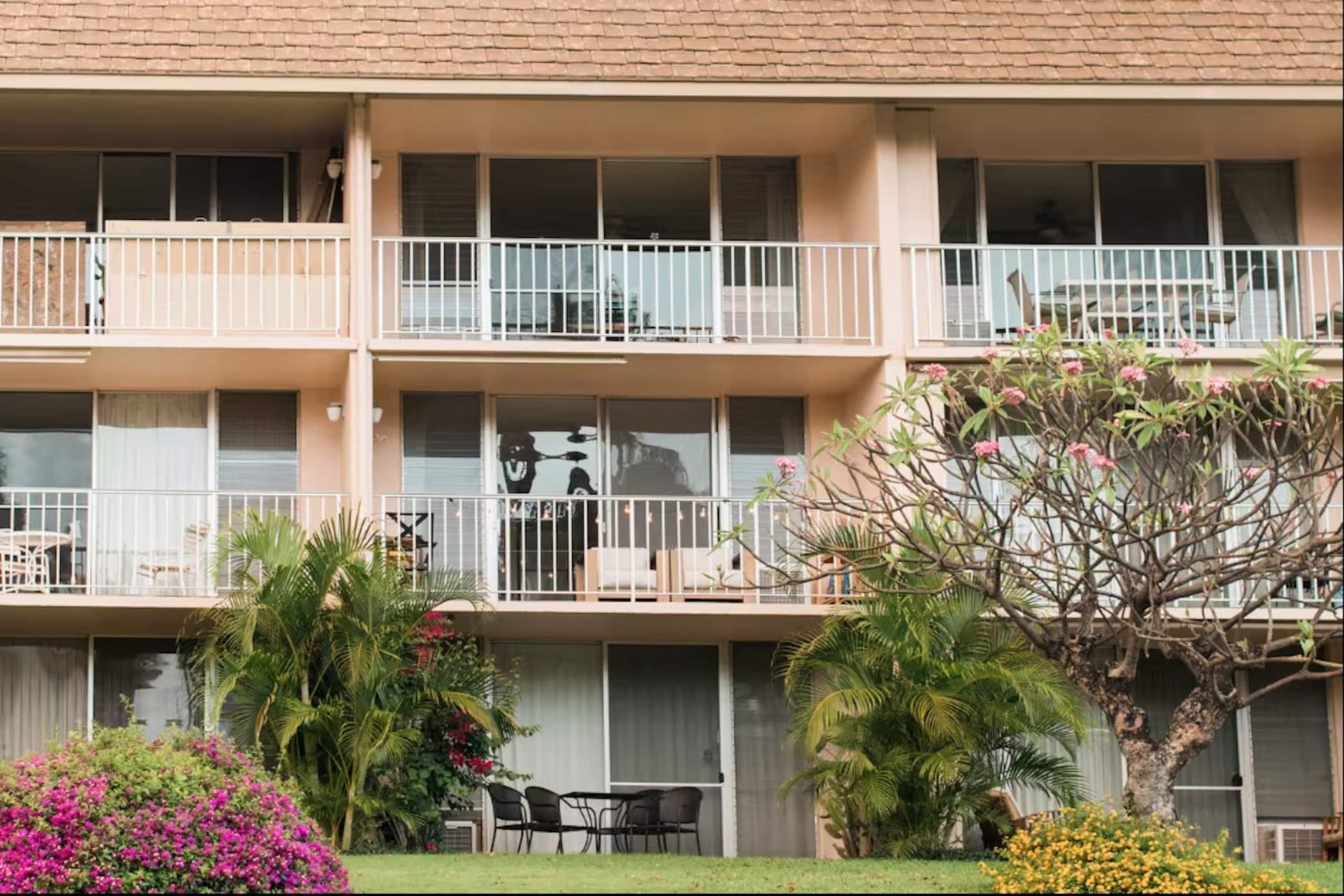 Home in Kihei · ★4.64 · 1 bedroom · 2 beds · 1 bath - Image 16