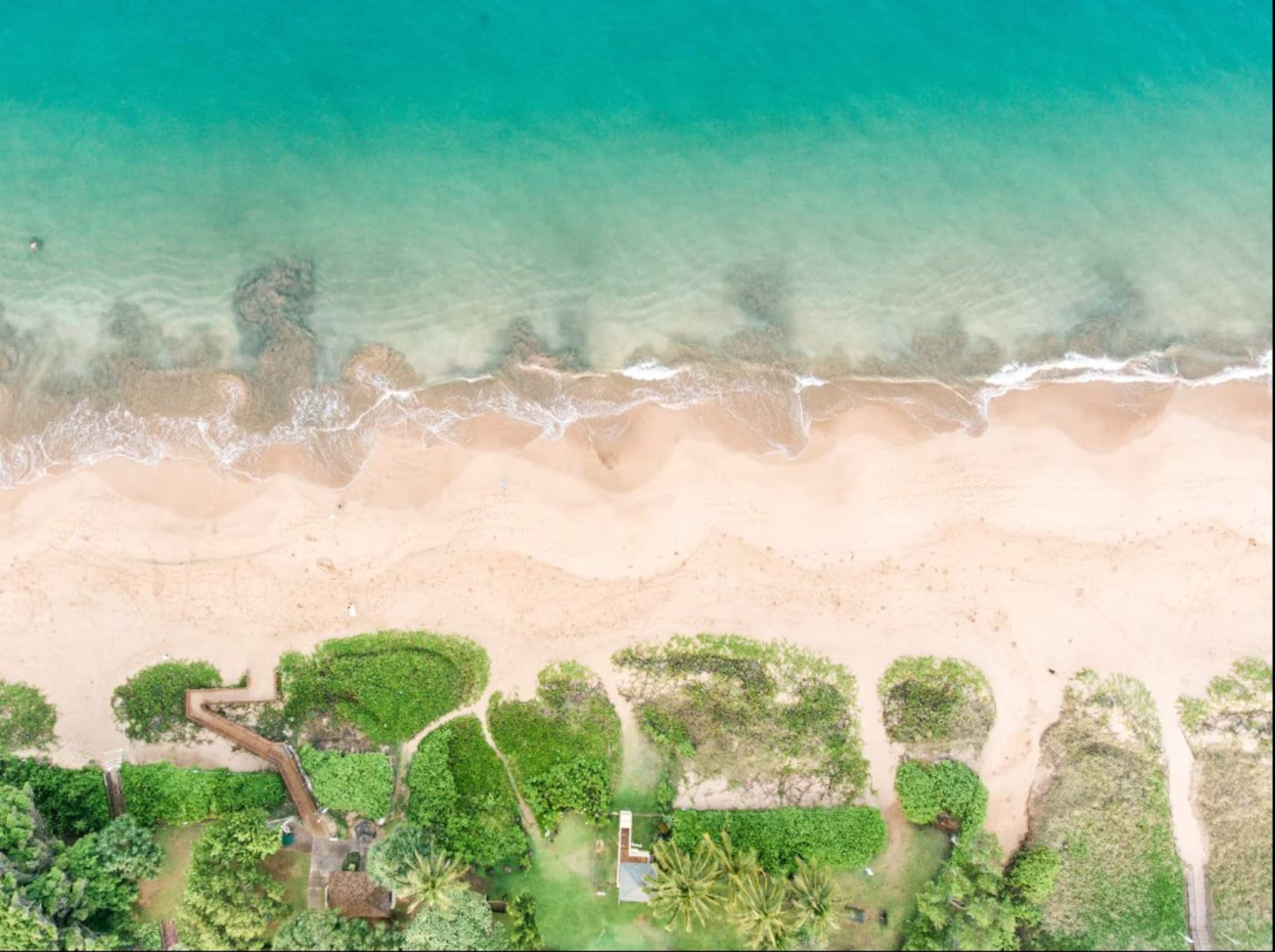 Home in Kihei · ★4.64 · 1 bedroom · 2 beds · 1 bath - Image 30