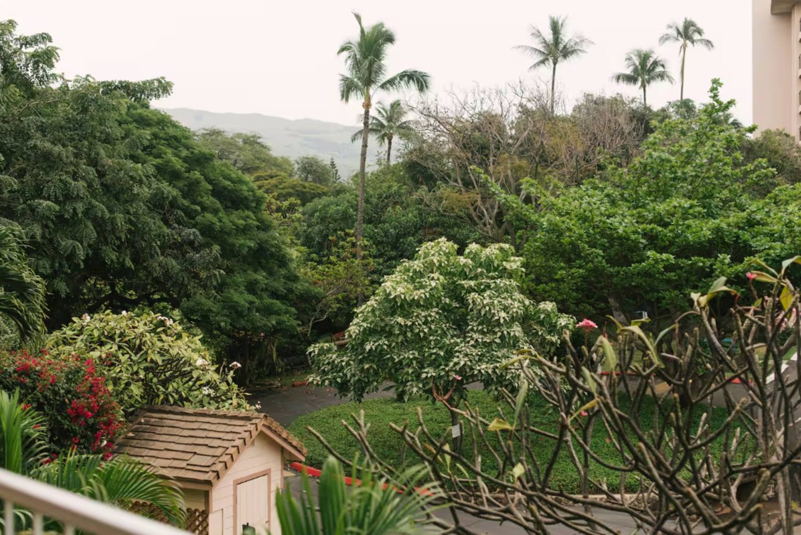 Home in Kihei · ★4.64 · 1 bedroom · 2 beds · 1 bath - Image 17
