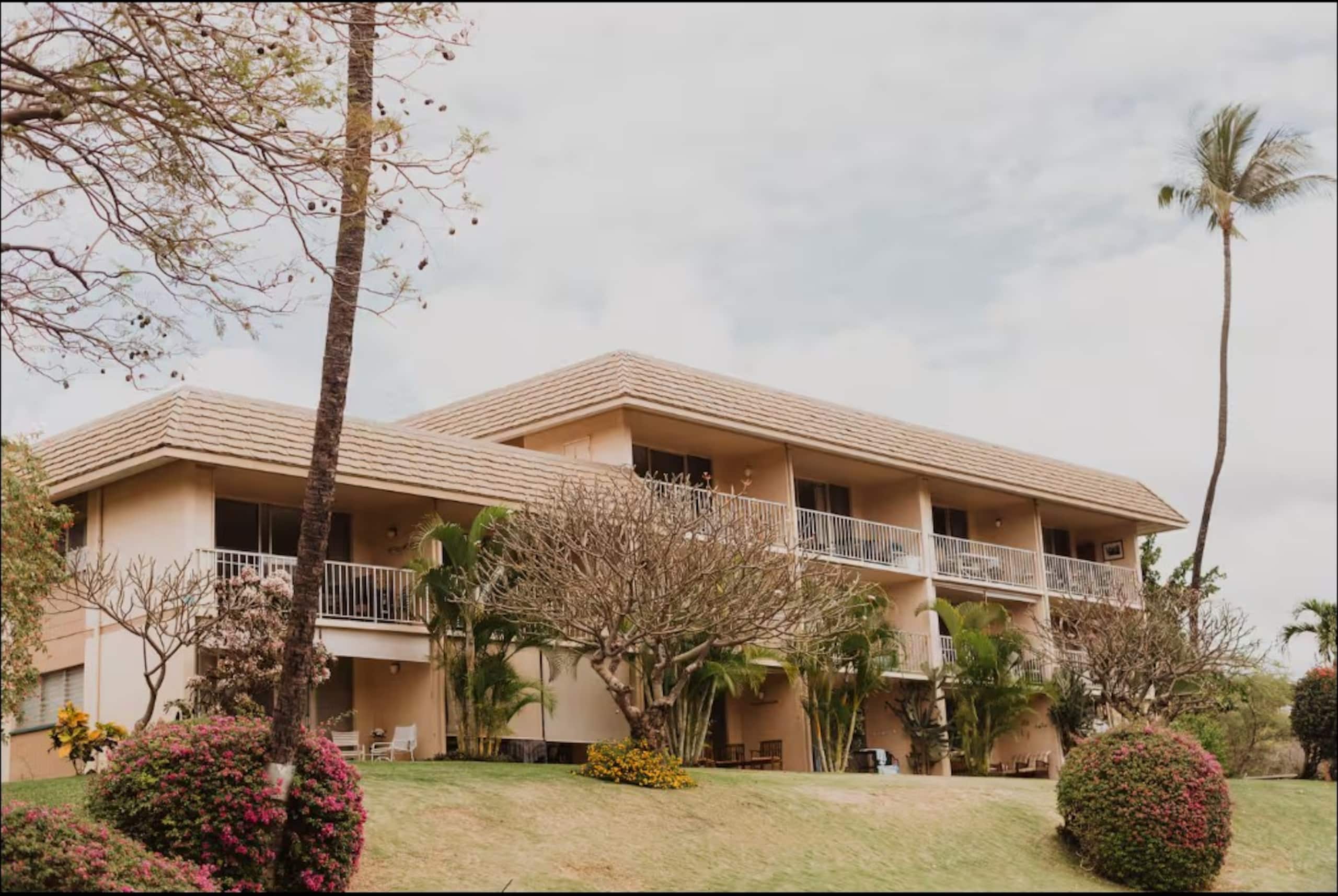 Home in Kihei · ★4.64 · 1 bedroom · 2 beds · 1 bath - Image 15