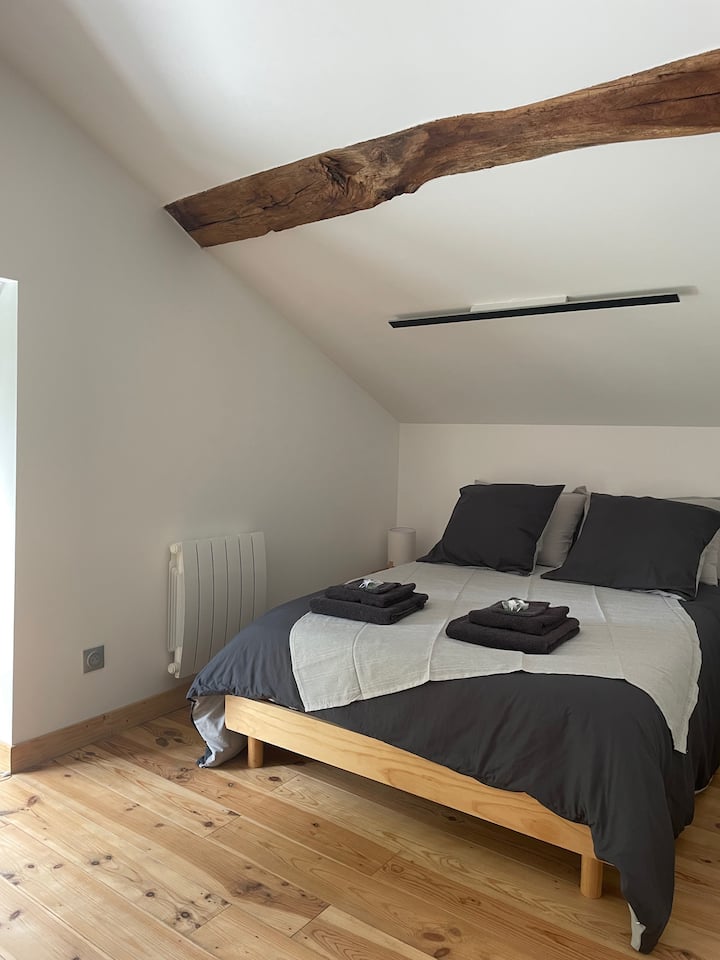 Habitación 1