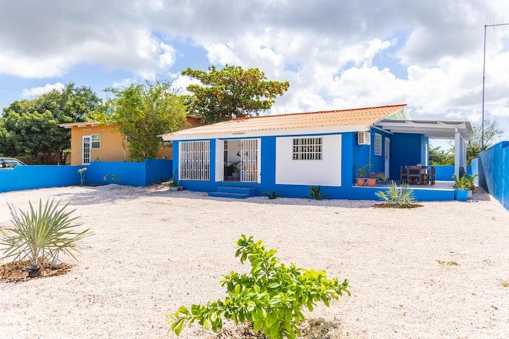 Tigra - Curaçao