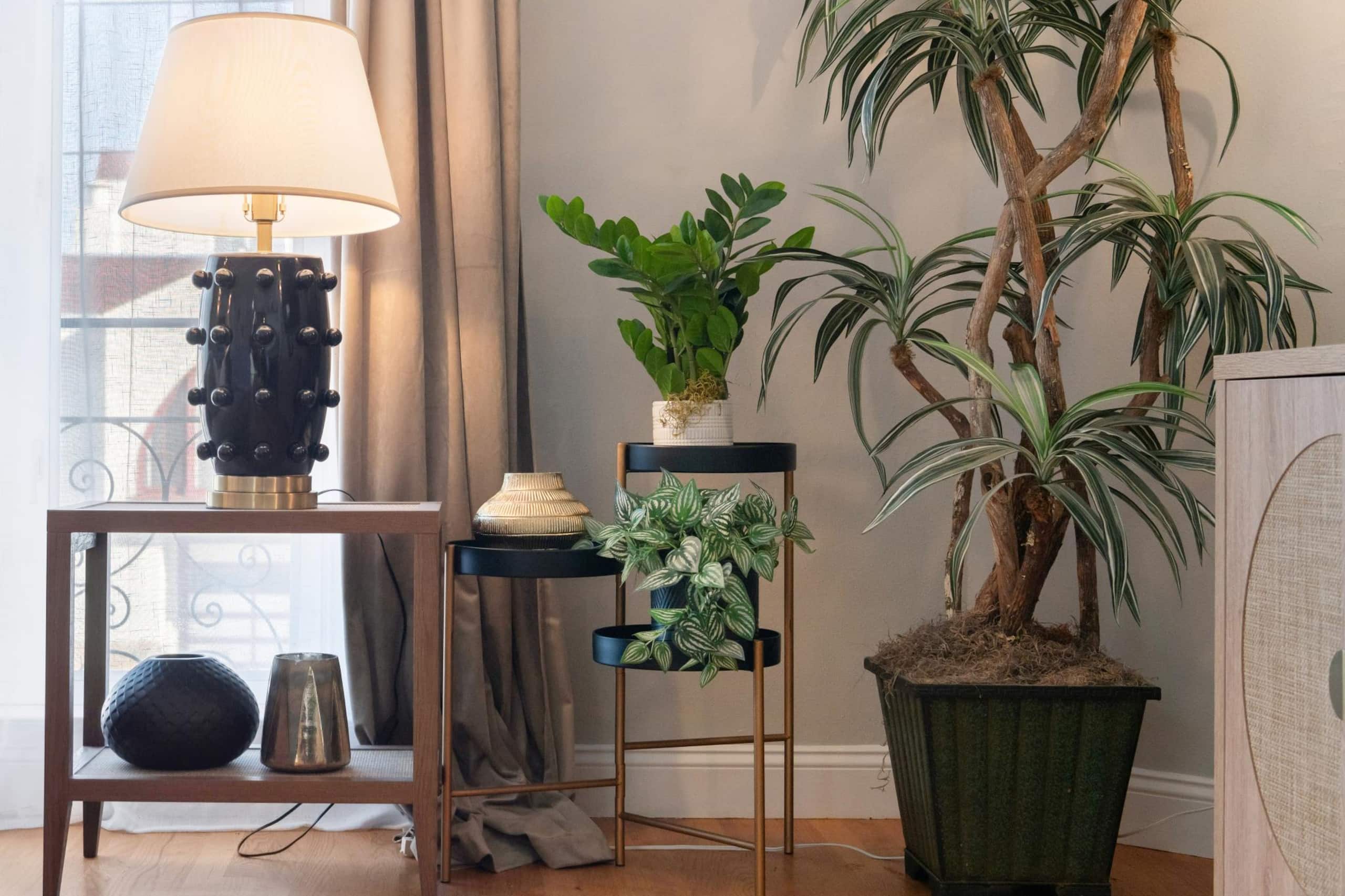 Home in San Francisco · ★4.96 · 3 bedrooms · 4 beds · 1 bath - Image 6