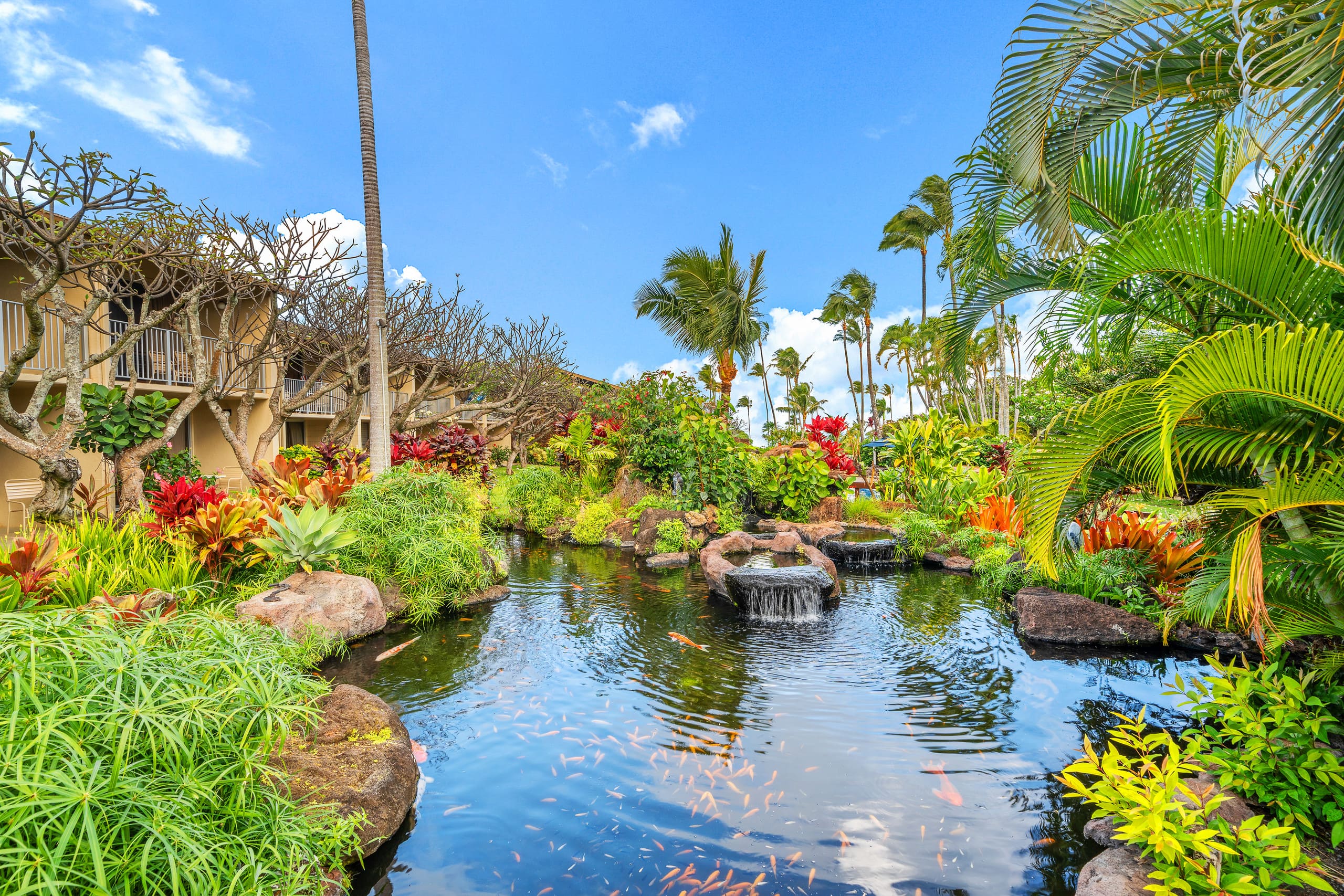 Condo in Lahaina · ★4.71 · 1 bedroom · 3 beds · 1 bath - Image 29