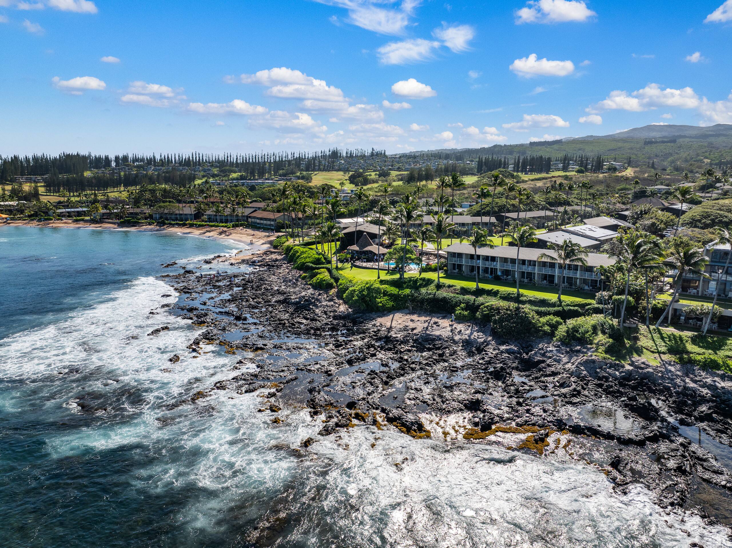 Condo in Lahaina · ★4.71 · 1 bedroom · 3 beds · 1 bath - Image 46