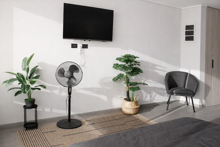 Lichte en gezellige ruimte met een minimalistische inrichting. Het beschikt over een tv, een loungeruimte en natuurlijke details die een warme sfeer creëren. Ideaal om te ontspannen na een dagje in de stad, in een comfortabele en goed onderhouden omgeving.
