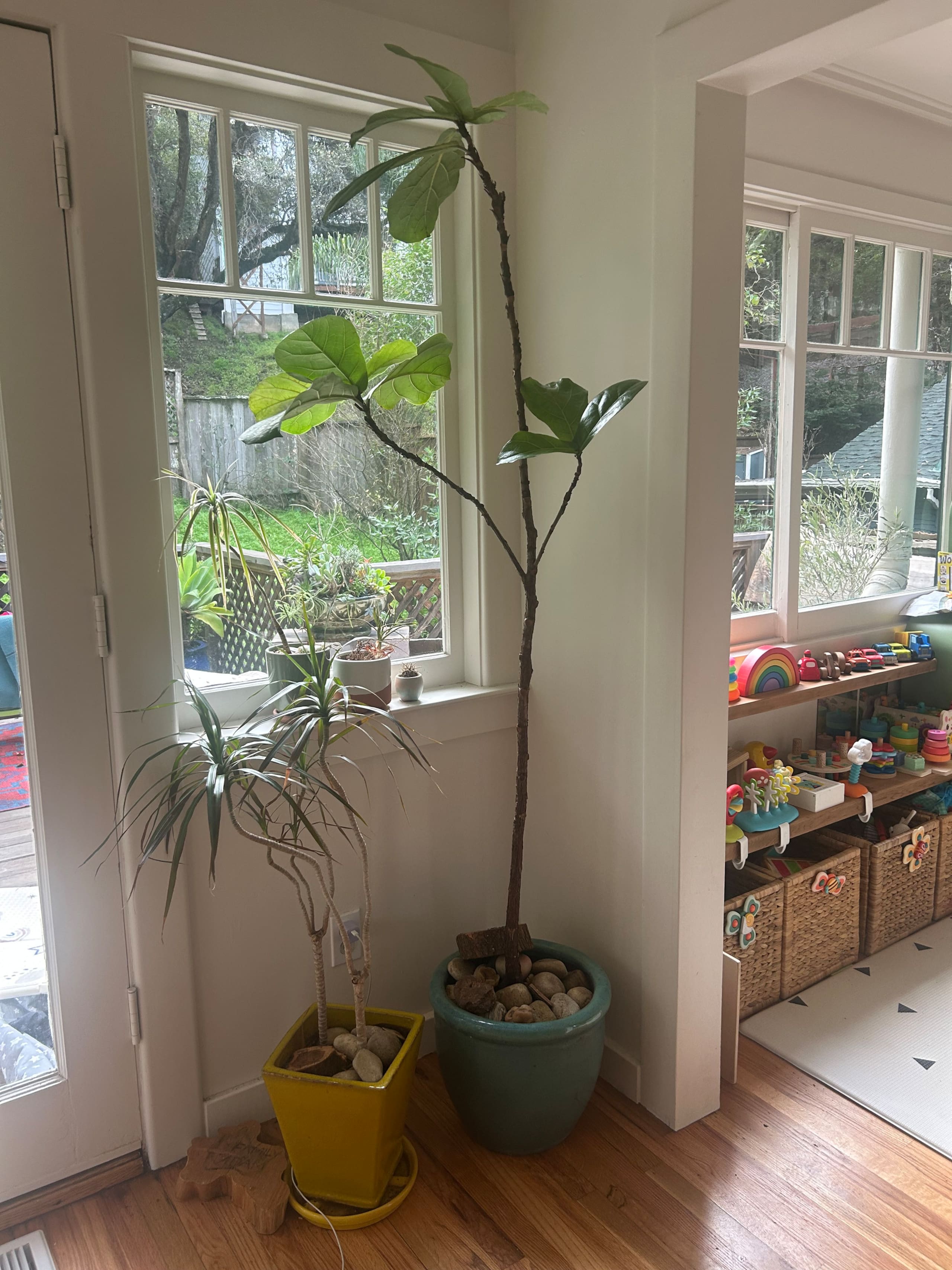 Woodland retreat, 3 blocks from town center - Photo 10