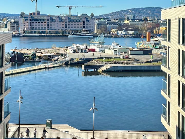 Oslo Central Apart Sauna Fjord View Lift+parking - Oslo