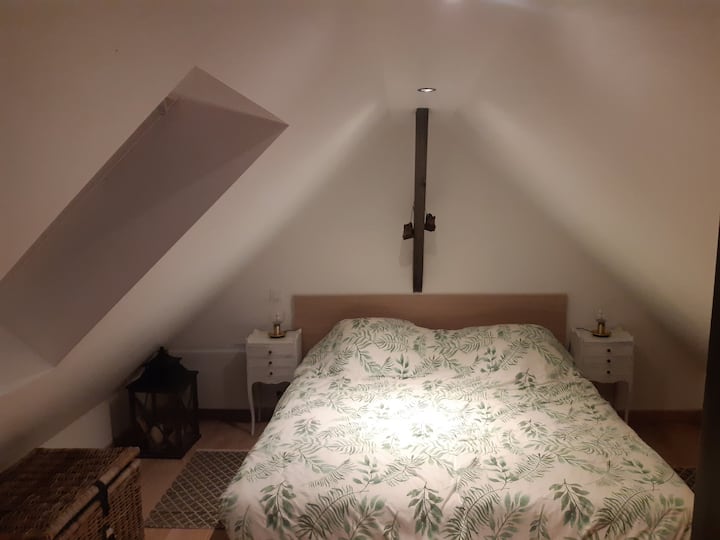 Habitación 2