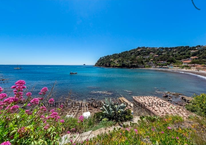 A 200 M De La Mer-  Cocon Avec Jardinet Et Piscine - Saint-Mandrier-sur-Mer
