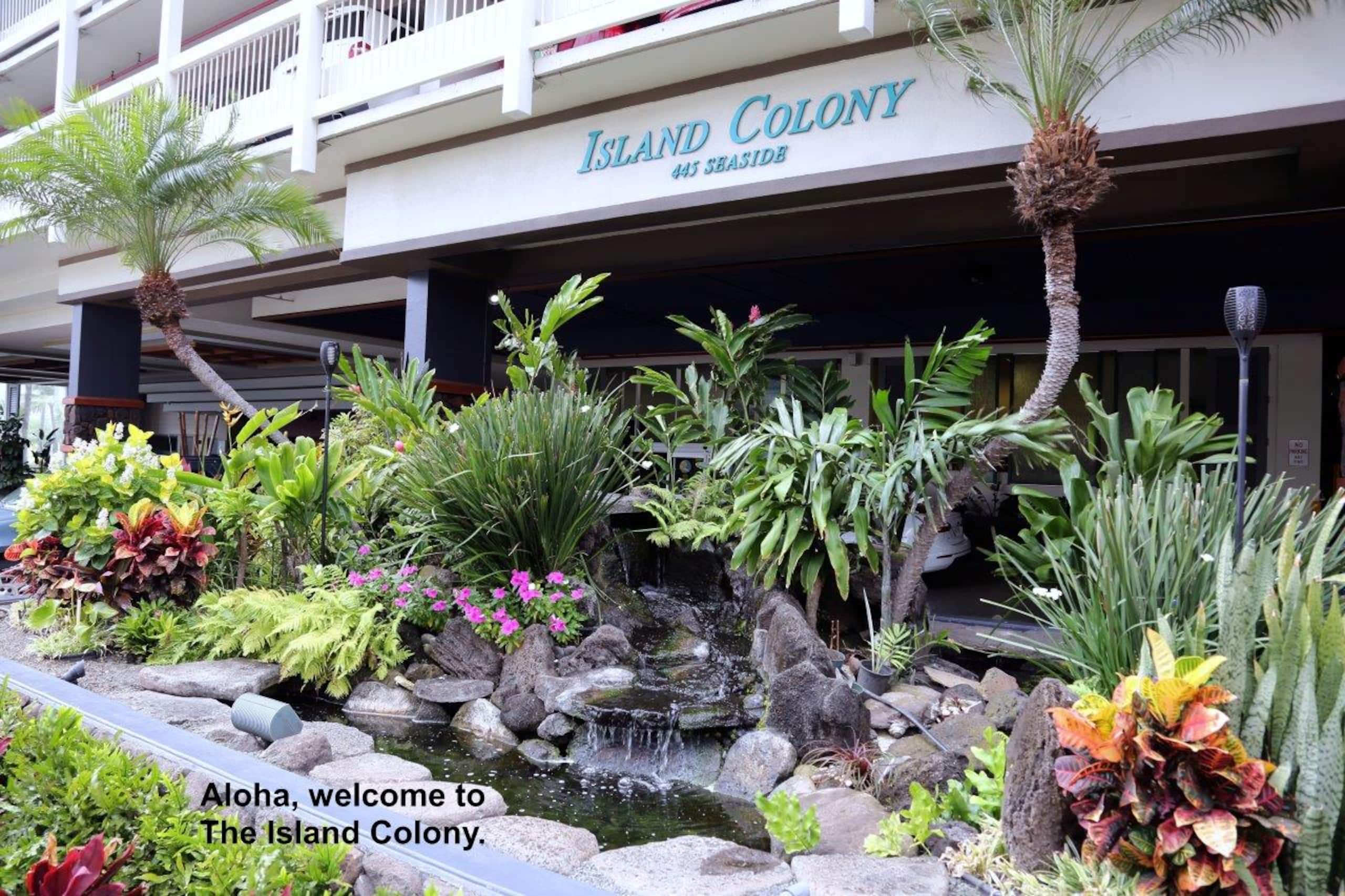 Condo in Honolulu · ★4.67 · Studio · 1 bed · 1 private bath - Image 33