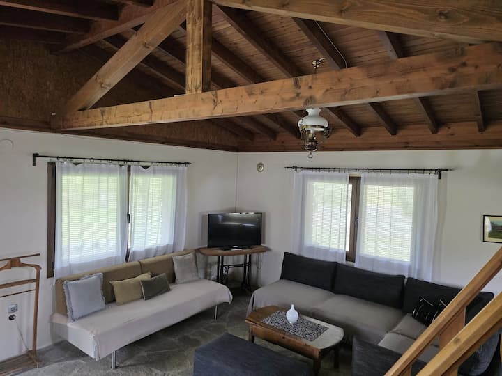 Olive Garden Toroni Sithonia - Sarti
