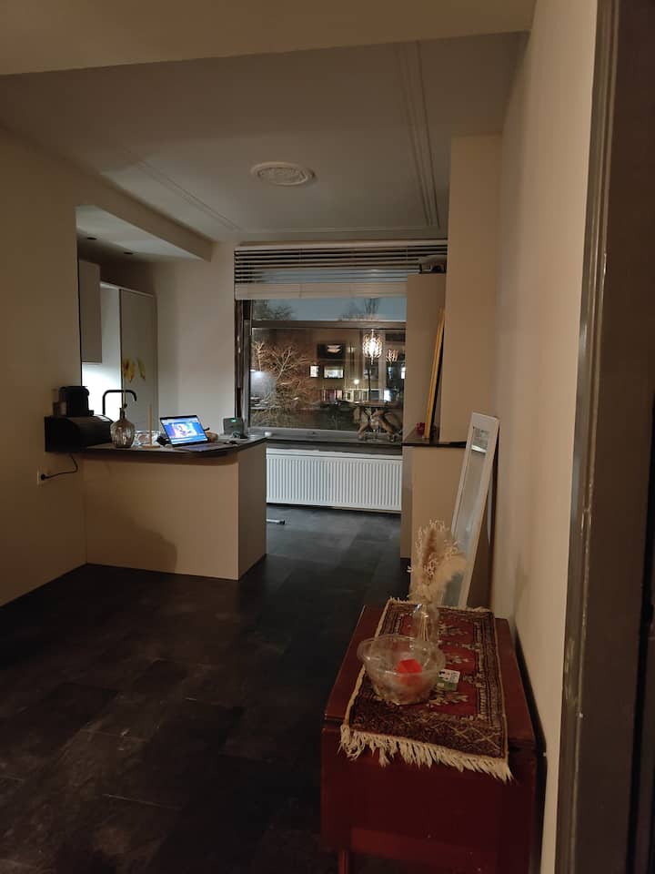 Hele Woning Met Ruim Balkon En Nieuwe Keuken - Hoek van Holland